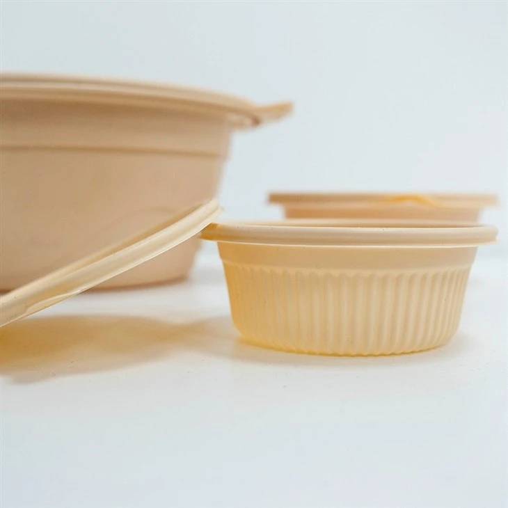 Eco-Smart Biodegradable Bowls - For a Greener Catering Experience (2)