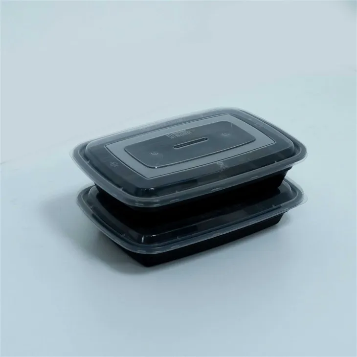Durable Disposable Lunch Boxes - Designed for Repeated Use (3) Durable Disposable Lunch Boxes - Designed for Repeated Use (3)