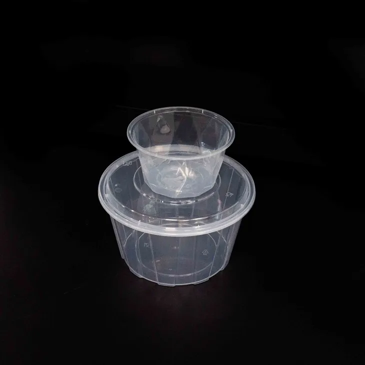 Portable Plastic Bowls - Perfect for Outdoor and Indoor Events (3)